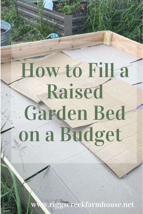 Filling a garden bed on a budget with cardboard Raised Bed Garden Layers, What To Layer In Raised Garden Bed, Filling A Garden Bed, Raised Garden Beds On A Budget, How To Build Raised Garden Beds Cheap, Fill Garden Bed Cheap, Raised Garden Bed Alternatives, Cheapest Raised Garden Bed, Raised Garden Bed Filler Ideas