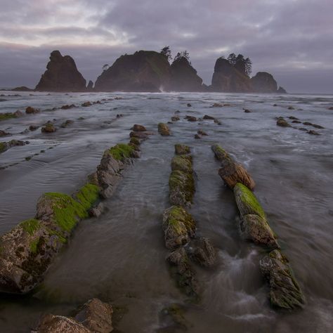 Shi Shi Beach is the most recently incorporated area of Olympic Coastal Wilderness, a 2.3-mile long majestic sand beach bounded at its southern end by an expansive cluster of sea stacks known as Point of the Arches. With Shi Shi Beach being perhaps the most pristine coastal area of Washington, Point of the Arches makes this adventure a true gem. Neah Bay, River Kayaking, Backcountry Camping, Mount Rainier National Park, Columbia River Gorge, Camping Area, Tide Pools, North Cascades, Olympic National Park