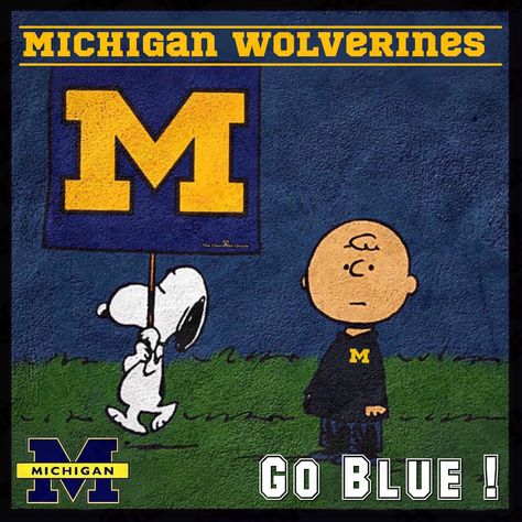 Michigan Facts, Michigan M, University Of Michigan Wolverines, Michigan Go Blue, Tri Delt, Msu Spartans, College World Series, Maize And Blue, Michigan Wolverines Football