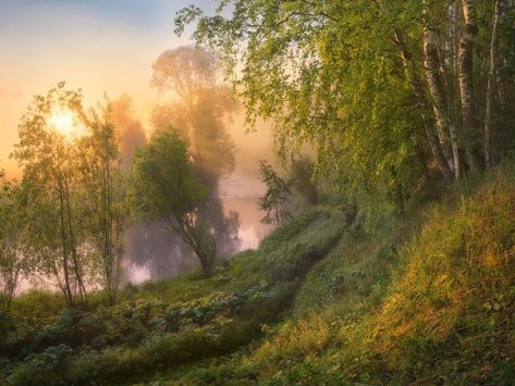 Forest Morning, Morning Forest, Autumn Sky, Morning Nature, Magical Forest, Wild And Free, Nature Aesthetic, Night Looks, Friends In Love