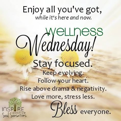 Become the person you are meant to be. Happy and healthy with just 3 simple steps first thing in the morning. #Mainethrives #easyas123 www.louellagrindle.le-vel.com Wednesday Sayings, Wellness Wednesday Quotes, Wednesday Morning Quotes, Wednesday Greetings, Wednesday Blessings, Days Of The Week Quotes, Short Friendship Quotes, Good Morning Wednesday, Happy Wednesday Quotes