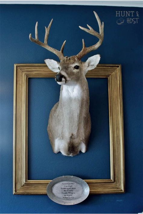 French country décor. incorporating your man's trophy into your home. #shabbychic #antlers #sharpielove www.huntandhost.com Photo Wall Collage With Deer Head, Stag Head Wall Mount, Living Room Decor With Deer Mounts, Decorating With Deer Mounts, Deer Mount Decor, Deer Mount Ideas, Deer Head Decor, Stags Head, Printable Scripture Art