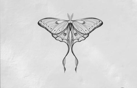 Lunar Moth Tattoo Design, Lil Tattoo, Lunar Moth Tattoo, Luna Moth Tattoo, Butterfly Tattoos Images, Moth Tattoo Design, Grunge Tattoo, Elbow Tattoos, Moth Art