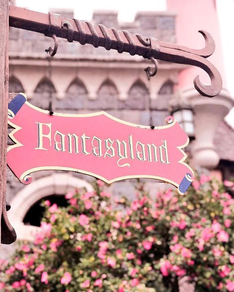 Fantasyland Disneyland, Disney World Aesthetic, Disney Village, Disney Hotels, Disney Wall, Disney Day, Disney Photos, Pastel Pink Aesthetic, Disney Addict