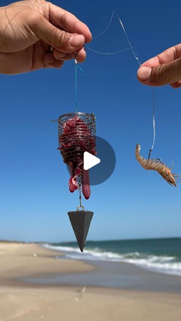 Hey Skipper on Instagram: "my secret fishing magnet 🧲🤫🎣 BAIT CAGE fishing rig

this bait cage attaches straight to our fishing hi-low rig! All the leftover shrimp heads, clam, and fish guts were put to good use. 

The idea is the scent from the chum will attract more fish to your hooks thus helping you catch more fish. I think Its a game changer In beach fishing, but what do you think? Give It a try for yourself and you be the judge! We have them for sale on our website!" Fishing Diy Projects, Leftover Shrimp, Fishing Hooks, Fishing Diy, Fishing Rigs, Beach Fishing, The Judge, Fishing Bait, Fishing Tips