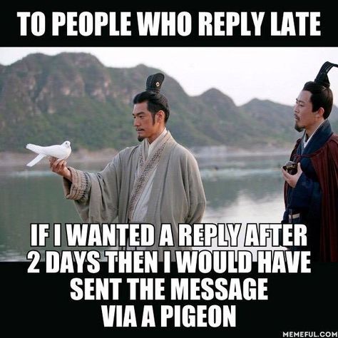 To people who reply late, if I wanted a reply after 2 days I would have sent this message via a pigeon. Reply Quotes, Teen Posts, Sarcastic Quotes, Funny Animal Pictures, Bones Funny, Funny Texts, Daily Dose, Tao, I Laughed