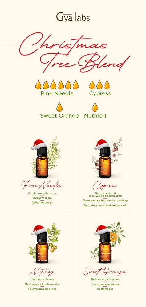 Christmas Candle Essential Oil Blends, Pine Essential Oil Blends, Christmas Oil Blends, Christmas Tree Essential Oil Blend, Christmas Essential Oil Blends, Christmas Essential Oils, Christmas Tree Essential Oil, Christmas Aromatherapy, Christmas Diffuser Blends