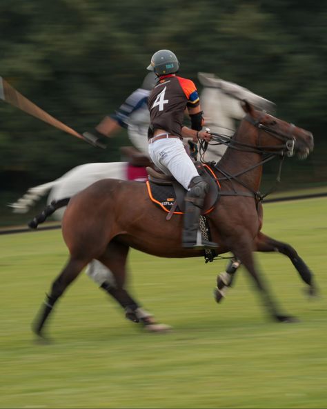 Busy weekend with lots of ponies @hampoloclub #polo #hampoloclub #equestrian Polo Pony, Future Life, Ponies, Equestrian, Quick Saves