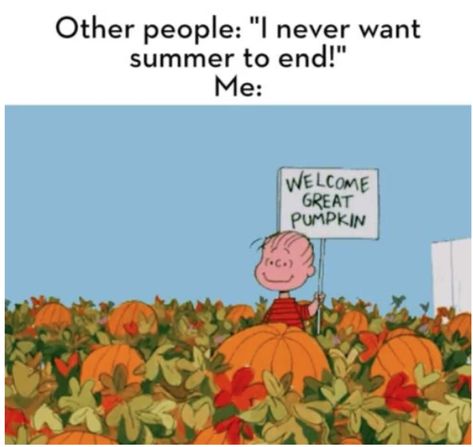 Time to switch out your coffee for a PSL, overhaul your wardrobe to a ton of flannels, and celebrate the season with these funny fall memes. Pumpkin Meme, Welcome Great Pumpkin, Hate Summer, Fall Instagram, Fall Humor, Fall Memes, Halloween Memes, Great Pumpkin, Summer Funny