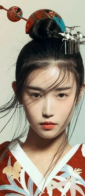 Japanese Hairstyle, Geishas, Asian Faces, 얼굴 드로잉, Foto Portrait, Geisha Art, China Girl, Hair Combs, Asian Inspired