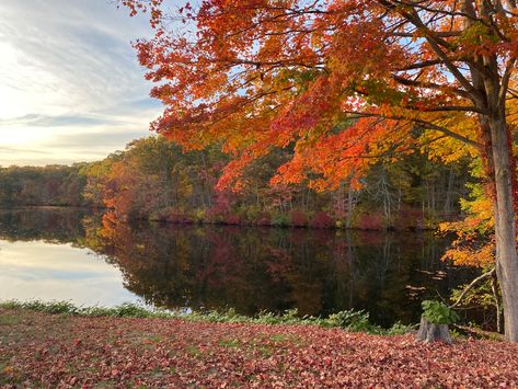 Lake In Autumn, Lake House Paint Colors, Friends Aesthetics, Fall Lake, Rainy Lake, Maine Trip, Scene Aesthetic, Red Lake, Lake Lure