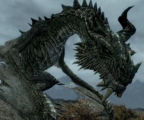 In skyrim, the first fight against alduin takes place at the throat of the world. Description from tattoo.toprate10.com. I searched for this on bing.com/images Buddy The Elf Meme, Dragon Skyrim, Dragonborn Skyrim, Skyrim Tattoo, Skyrim Dragon, Skyrim Nexus Mods, Scrolls Game, Realistic Dragon, Skyrim Art