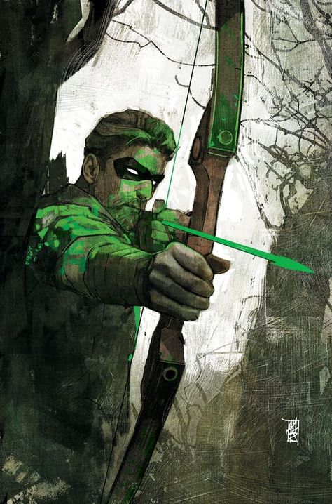 Comics and Other Cool Stuff Green Arrow Comics, Alex Maleev, Arrow Comic, Arrow Black Canary, Arte Nerd, Arrow Art, Film Anime, Univers Dc, Dc Icons