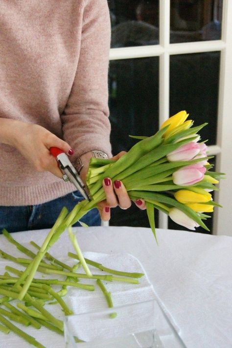 4 Tulip Arrangements: Step by Step How to Make a Tulip Arrangement Tulip Arrangements, Tulpen Arrangements, Tulip Arrangement, Tulip Centerpiece, Fresh Tulips, Tulips Arrangement, Spring Flower Arrangements, Short Vase, Spring Floral Arrangements