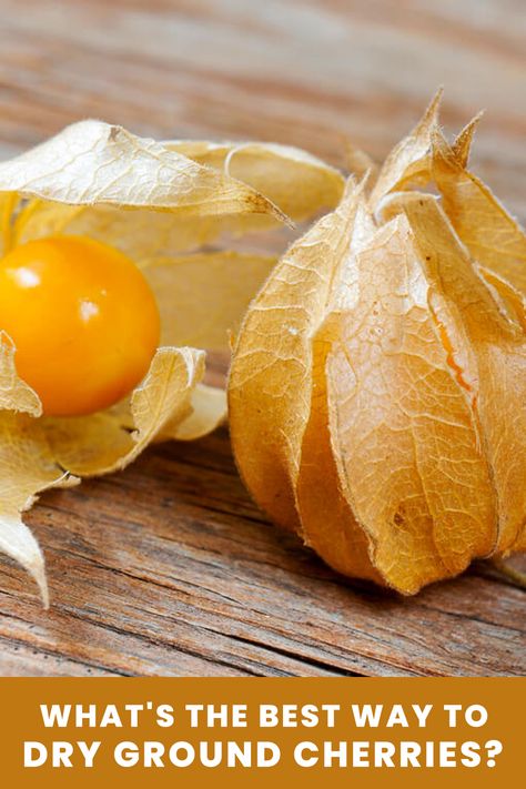 A picture of ground cherries on a wood surface. Ground Cherries, Cherry Salsa, Tomato Growing, Cape Gooseberry, Heirloom Vegetables, Freeze Drying Food, Growing Grapes, Fruit Seeds, Growing Tomatoes