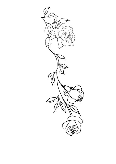 Roses With Vines Drawing, Vine With Roses Tattoo, Roses On A Vine Tattoo, Rose Arm Wrap Tattoo, Arm Wrap Tattoo Roses, Rose Vine Tattoo Stencil, Vines And Roses Tattoo, Rose Vine Forearm Tattoo, Rose Filler Tattoos