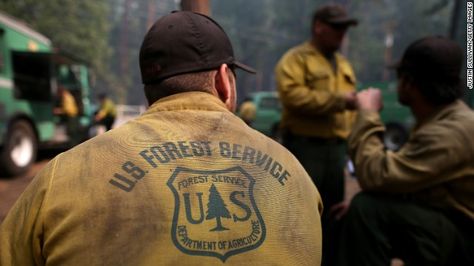 Firefighter Quotes, Us Forest Service, Wildland Fire, Yosemite California, Forest Ranger, Wildland Firefighter, Female Firefighter, Volunteer Gifts, Smokey The Bears