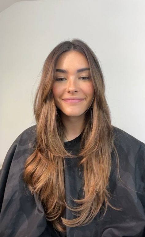 Madison Beer Haircut Layers, Thick Face Framing Layers, Mood 2024, Madison Beer Hair, Rambut Brunette, Brown Hair Looks, Brown Hair Inspo, Hairstyles For Layered Hair, Haircuts Straight Hair