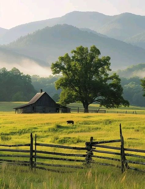 Beautifull Tennessee & Great Smoky Mountains | Cades Cove, Great Smoky Mountains, Tennessee 🇺🇲 | Facebook Lookout Mountain Tennessee, Mountains Tennessee, Smoky Mountains Tennessee, Cades Cove Tennessee, Mountain Vibes, Smokey Mountain, Lookout Mountain, Gatlinburg Tennessee, Cades Cove