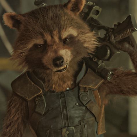 Estp Personality, Racoon Tattoo, Male Cartoon Characters, Marvel And Dc Characters, Rocket Raccoon, Anatomy Poses, Trash Panda, Dr Strange, Cute Animals Images