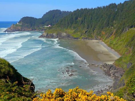 Florence, Oregon Beach Access: Where To Go | Old Town Inn Reedsport Oregon, Florence Oregon, Oregon Coastline, Oregon Dunes, Oregon Beach, Masterpieces Painting, Highway 101, Art Of Painting, Oregon Beaches