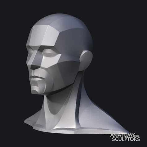 ArtStation - Male head 3D model block-out, Anatomy For Sculptors Anatomy For Sculptors, Planes Of The Face, Drawing Poses Male, Human Anatomy For Artists, Head Anatomy, Face Structure, Helmet Head, Sculpting Tutorials, Face Anatomy