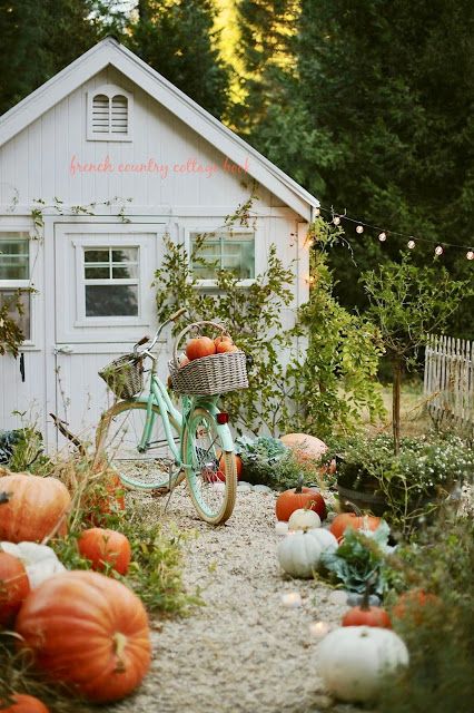 Fall is here and I'm so thrilled to decorate my home with those small autumn touches! On the blog, I'm sharing my early fall decor with pumpkins and romantic home accessories. #fallhome #whitekitchen #frenchfarmhouse #frenchcountry #frenchvintage Cottage Aesthetic, Autumn Decorating, Romantic Homes, French Country Cottage, Fall Is Here, Early Fall, Autumn Inspiration, Small Garden, Autumn Home