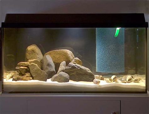 River Rock Aquascape, Rock Aquascape, African Cichlid Tank, Cichlid Aquarium, Yellow River, Aquarium Ideas, Hardscape Design, Nature Aquarium, Aquascape Aquarium