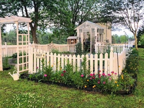 Elevate your vegetable garden with these inspiring fence ideas. From small white fences to cottage fences, discover designs that add charm, protection, and beauty to your veggie oasis. Get inspired and start gardening! #vegetablegarden #fenceideas #gardendesign Small White Picket Fence Garden, Tiny Fenced In Backyard Ideas, Fence For Small House, Small Fenced Garden Ideas, Picket Fence Around Garden, Fenced Off Garden Area, Picket Fence Garden Border, Diy White Fence, Cottage Garden Fencing