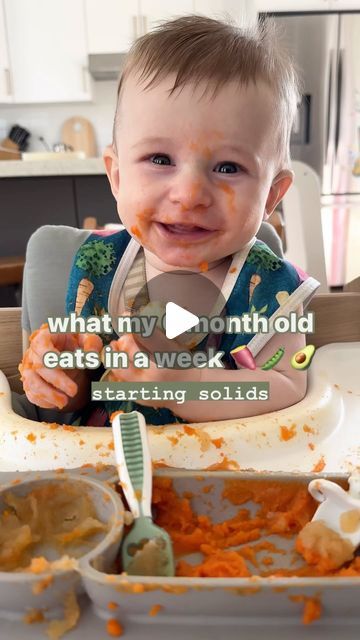 Nikole Goncalves | Healthy Food + Lifestyle on Instagram: "What my 6 month old ACTUALLY eats in a week 🥥🍌🍠🫛🥑

So fun to already see the progress from where Oakley to started to where he’s at now 👶🏼

Need help with feeding your baby? Grab a copy of The Baby HealthNut Cookbook (link in bio 👆🏼) with over 30+ recipes from purées, hand held foods and lots more! 🥣

Comment a 🤎 emoji below if you want to see more of these! 

#babyledweaning #6monthsoldbaby #babyfoodrecipes #healthybabyfood #babymealprep #startingsolids #babyoatmeal" 6 Month Old First Meal, 9 Month Dinner Ideas, 6 Month Old Eating, Feeding 6 Month Old, Foods For 7 Month Old Baby, 6 Month Food Ideas, 6 Month Baby Food Recipes, Food For 6 Month Old Baby, 9 Month Old Food