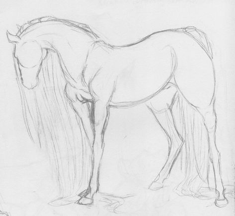 Water Horse Drawing, Water Horse Art, Cool Horse Drawings, Horse Drawings Sketches, Water Animal Drawing, Horse Drawing Base, Drawing Horses Sketches, Horse Base Drawing, Horse Art Drawing Sketches