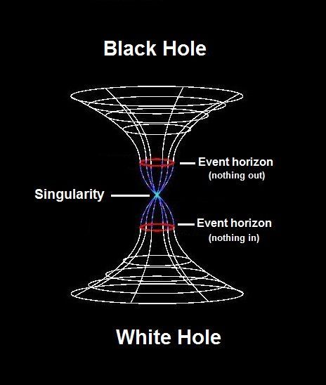 Black Holes, White Hole, Astronomy Facts, The Black Hole, Astronomy Science, Space Facts, Cool Science Facts, Event Horizon, Physics And Mathematics