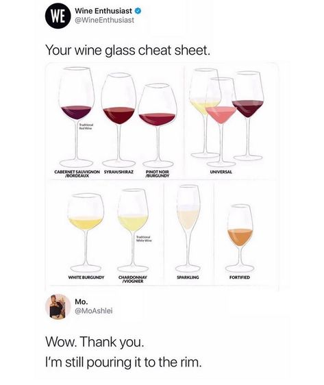 TheTinderBlog on Instagram: “@wineenthusiast thanks for letting me know. 😂 @moashlei” Wine Cheat Sheet, Wine Etiquette, Wine Knowledge, Pinot Noir Wine, Wine Gift Baskets, Wine Delivery, No Thanks, Wine Brands, Food Pairings