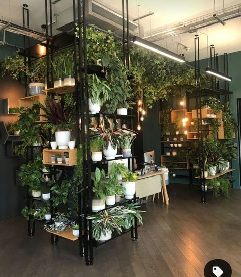 Plants Store Design, Moody Flower Shop, Plant Shop Interior Design, Boutique Plant Shop, Plant Boutique Ideas, Plant Store Design, Flower Shops Interior, Plant Shop Design, Flower Shop Design Interiors