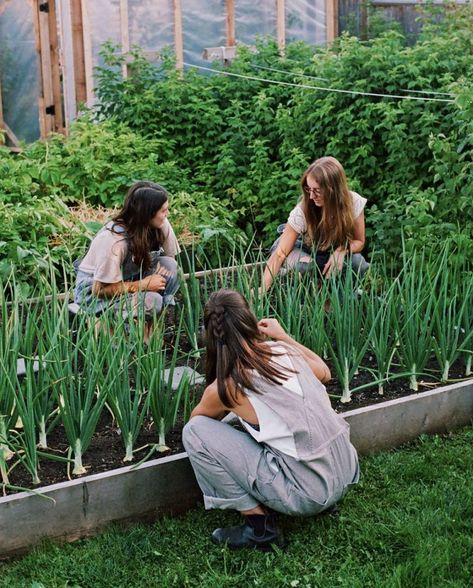 Vancouver’s Urban Farms | MONTECRISTO Urban Farmer, Urban Agriculture, Future Farms, Gardening Outfit, Community Gardening, Urban Farming, Veggie Garden, Farm Gardens, Kitchen Garden