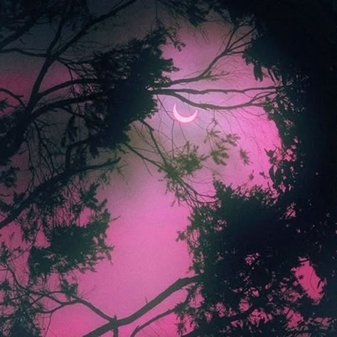 “What is considered “rose-colored glasses” can be called acceptance in another way. You stop fighting life and accept it as it is, then everything turns bright pink for you.” Red Aesthetic Grunge, Pink Goth, Vampire Aesthetic, Boy Pfp, Pink Forest, Pink Stuff, Aesthetic Boy, Pink Halloween, Phone Theme