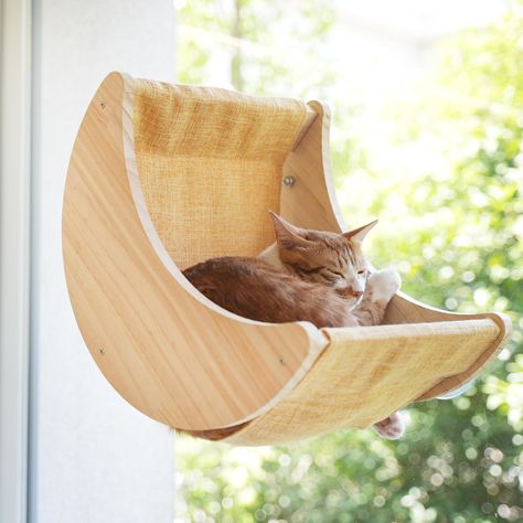 PRICES MAY VARY. 1.Celestial Comfort: Treat your feline friend to a cozy and unique resting spot with the Cat Window Hammock. Designed to resemble a crescent moon, it adds a touch of whimsy to any space. 2.Secure and Stable: The four heavy duty suction cups ensure a secure attachment to your window, giving you peace of mind that your cat is safe while enjoying the elevated view. The window cat bed can hold up to even the most enthusiastic of pouncing cats. 3.Space-Saving Design: Make the most of Cat Window Bed, Cat Window Hammock, Cat Window Perch, Window Perch, Cat Wall Furniture, Cat Perch, Cat Window, Cat Hammock, Indoor Cats