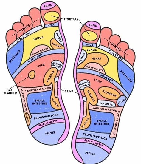 Foot Reflexology- Curing The Diseases By Pressing Foot Foot Pressure Points, Ear Reflexology, Massage Therapist Gifts, Reflexology Foot Chart, Foot Reflexology Massage, Hand Reflexology, Reflexology Chart, Reflexology Massage, Foot Reflexology