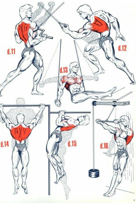 Shoulder Training, Trening Fitness, Weight Training Workouts, Workout Chart, Chest Workouts, Bodybuilding Training, Gym Workout Tips, Back Exercises, Back Workout