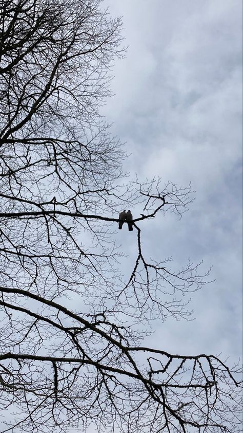 Looking Up At The Sky, Nature Photography Quotes, September Fashion, Clouds Aesthetic, Sky Photography Nature, Nature Instagram, Snapchat Picture, Instagram My Story, Cool Instagram Pictures