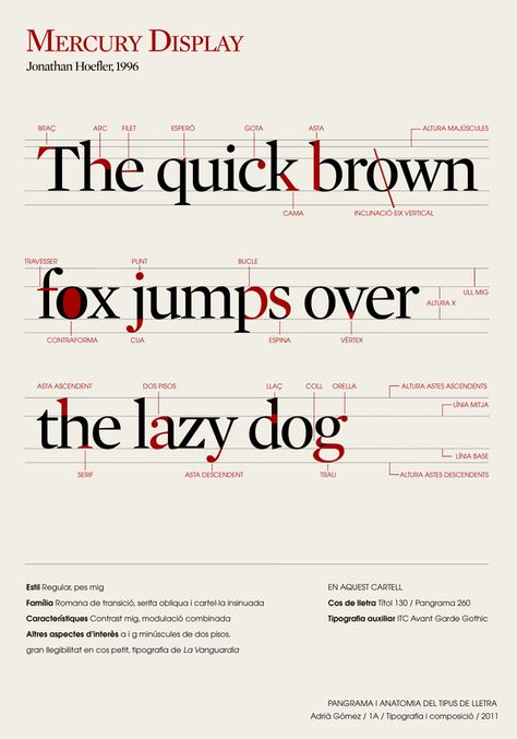 Type Anatomy by Adrià Gómez, via Behance Anatomy Of Type, Letter Anatomy, Anatomy Of Typography, Typography Rules, Type Anatomy, Typographic Poster Design, Typography Book, 타이포그래피 포스터 디자인, Design Theory