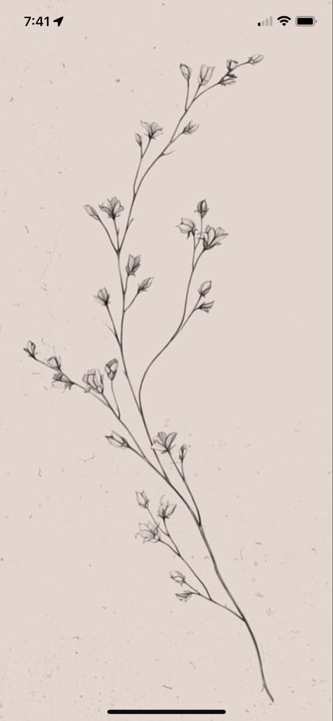 Sketch Style Flower Tattoo, Vine Drawing With Flowers, Long Delicate Tattoo, Dainty Branch Tattoo, Small Floral Arm Tattoo, Fine Line Protea Tattoo, Lupine Flower Tattoo, Fine Line Tattoo Cover Up, Single Line Woman Tattoo