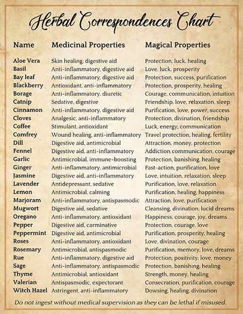 Magickal Correspondences, Magickal Herbs, Witch Herbs, Witch Spirituality, As Above So Below, Magic Spell Book, Grimoire Book, Magic Herbs, Under Your Spell