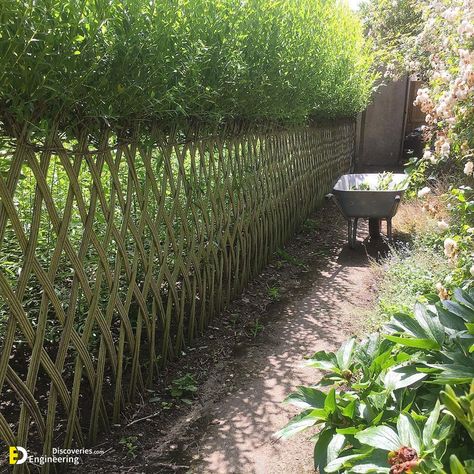 Amazing Nature Fence Ideas With Willow | Engineering Discoveries Living Willow Fence, Willow Fence, Willow Garden, Living Willow, Garden Wood, Natural Fence, Living Fence, Garden Fencing, Garden Structures