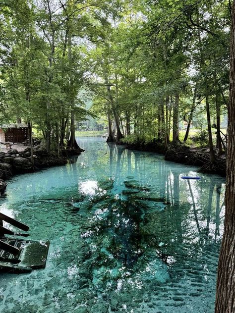 Florida Springs and Parks | Yesterday morning at Ginnie Springs/ Devils Den  | Facebook Florida Springs Aesthetic, Devils Den Florida, Ginnie Springs Florida, Ginnie Springs, Devils Den, Florida Vacation Spots, Florida Pictures, Florida Springs, Springs Florida