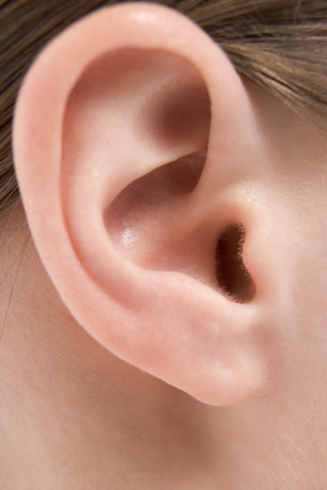 How to Improve Inner Ear Circulation | Livestrong.com Listening Games, Ear Anatomy, How To Draw Ears, Human Ear, Inner Ear, Anatomy Study, Human Reference, Anatomy Drawing, Body Reference