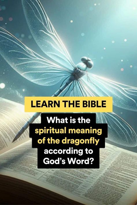 Yellow Dragonfly Meaning, Dragonfly Sayings Quotes, Dragon Fly Spiritual Meaning, Dragonfly Quotes Inspiration Sayings, Dragonfly Symbolism Meaning, Seeing Dragonflies Meaning, Dragonfly Meaning Spiritual Tattoo Ideas, Dragonflies Meaning, Dragon Fly Meaning