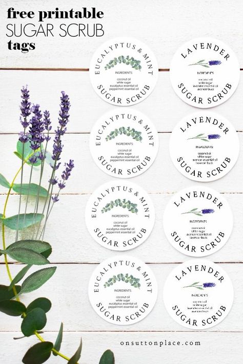 The Complete Guide to Sugar Scrubs: An easy to download eBook that gives the basic recipe, how to use sugar scrub, and recommended scents. #sugarscrub #sugarscrubrecipe #diysugarscrub Sugar Scrub Labels Printable Free, Lavender Hand Scrub, Homemade Sugar Scrub Recipes, Christmas Sugar Scrubs, Make Sugar Scrub, Sugar Scrub Labels, Sugar Scrub Homemade Recipe, Homemade Sugar Scrub, Scrub Homemade