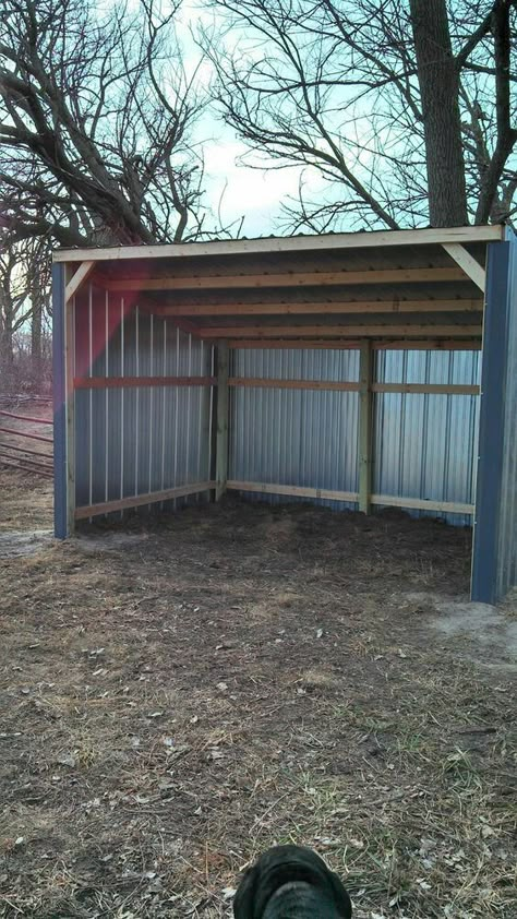 Horse Shelters, Horse Shed, Horse Shelter, Run In Shed, Future Farms, Savings Tips, Horse Boarding, Barns Sheds, Horse Ideas