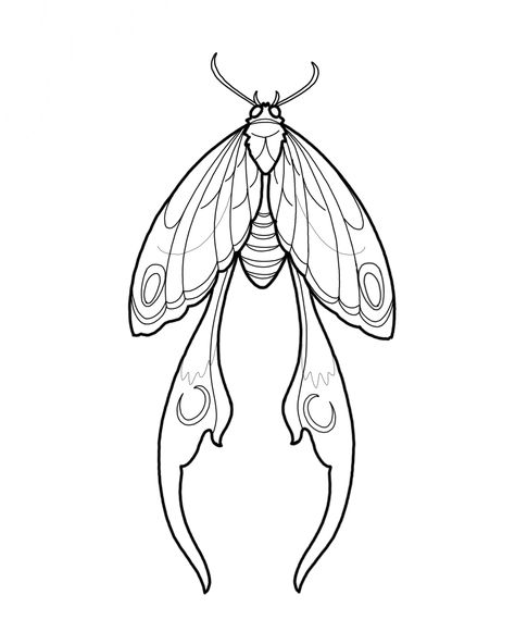 Moths Tattoo Design, Moth Tattoo Line Art, Moth Henna Tattoo, Line Art Stencil, Luna Moth Line Art, Lunar Moth Tattoo Design Simple, Luna Moth Drawing Simple, Cottagecore Line Art, Moth Line Tattoo